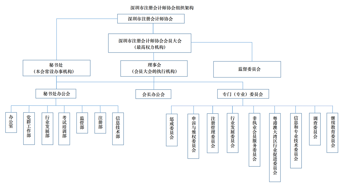 深注协组织架构图最终版_00.png